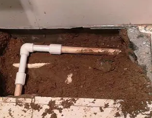 荆州测漏水哪家好